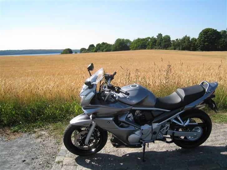 Suzuki GSF 650 Bandit - Fields of Gold... billede 1