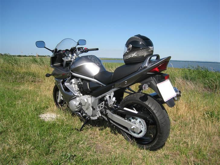 Suzuki GSF 650 Bandit billede 4