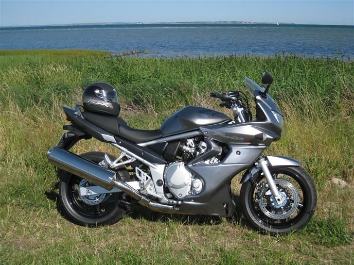 Suzuki GSF 650 Bandit - Udstødningen er sidenhen blevet erstattet med en Scorpion ;o) billede 6