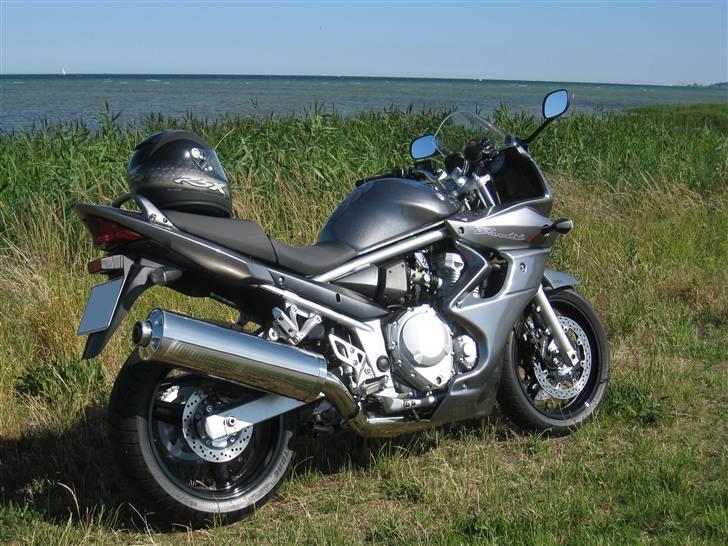 Suzuki GSF 650 Bandit billede 7