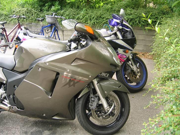 Honda CBR 1100 XX billede 6