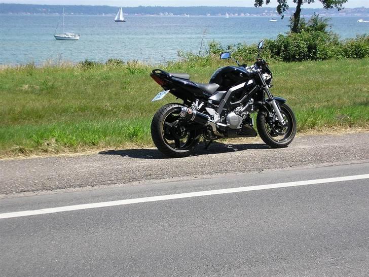 Suzuki SV1000 K7 billede 5