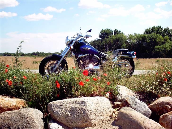 Kawasaki VN 800 A (Solgt) billede 4