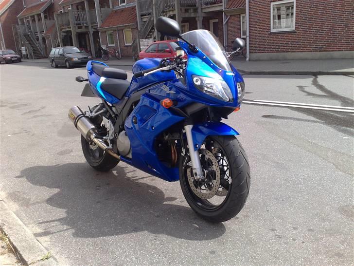 Suzuki sv1000s billede 7