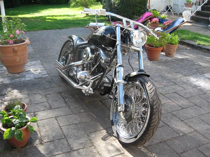 Harley Davidson Chopper billede 1