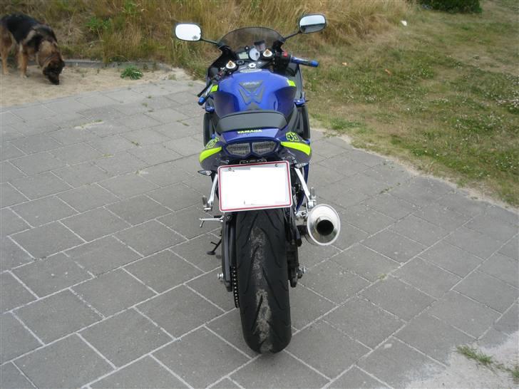 Yamaha YZF-R6 billede 5