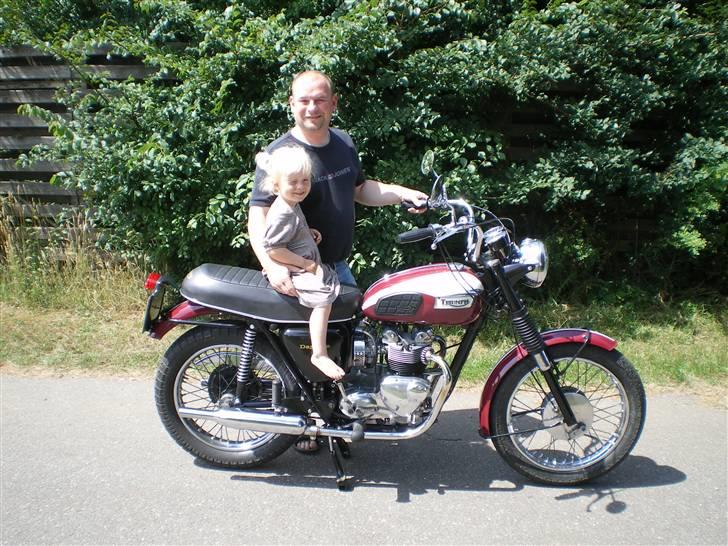 Triumph daytona billede 6