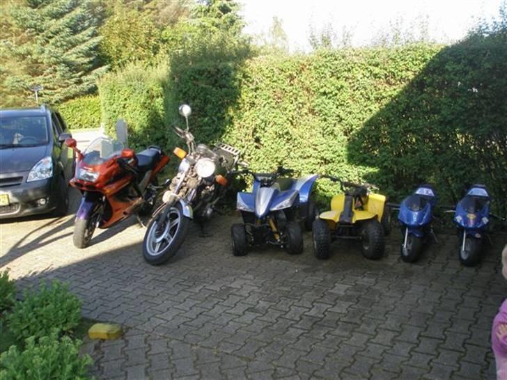 Kawasaki zzr1100 model 93´ - hele maskinparken 3 til mig og 3 til min datter på 2 billede 11