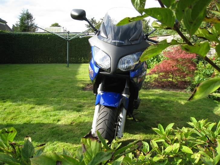 Honda CBF 600 SA [SOLGT] - Paparazzi 4 billede 10