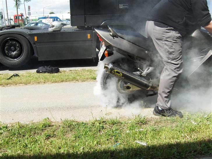 Honda cbr 1100xx billede 6