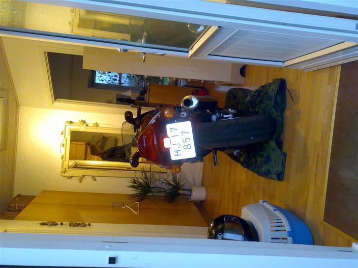 Kawasaki zx9r solgt billede 2