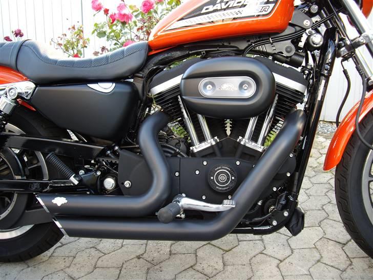 Harley Davidson Sportster *SOLGT*   billede 3
