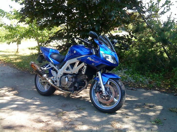 Suzuki Sv 650s *solgt 10/6-2011* billede 7