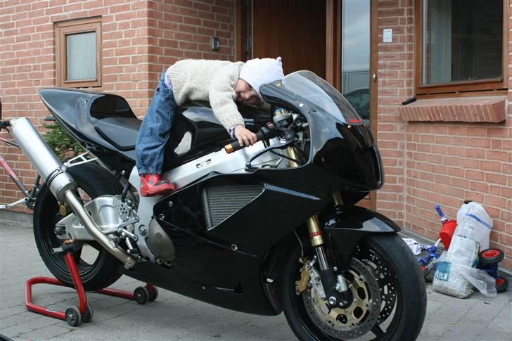 Honda VTR1000SP2 - Lille junior (inde)  er vild med at prøvesidde.. ikke så vild med når der startes op..! billede 5