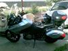 Suzuki V-Strom DL 1000