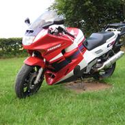 Honda CBR 1000 F