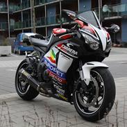 Honda CBR 1000 RR Fireblade