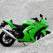 Kawasaki Ninja 250R