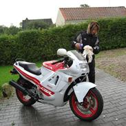 Honda CBR600F