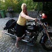 Kawasaki vn 900 classice