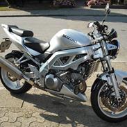 Suzuki sv1000n