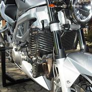 Suzuki sv1000n