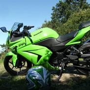 Kawasaki Kawasaki Ninja 250R SOLGT