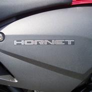 Honda 600 Hornet(Solgt)