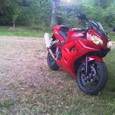 Triumph Daytona 650 Solgt
