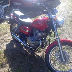 Honda rebel