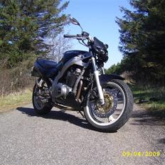 Suzuki GS 500 E SOLGT