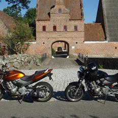 Honda CB 600 Hornet (solgt)