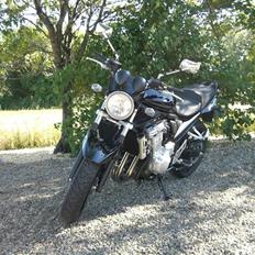 Suzuki GSF 650 N K8 Bandit