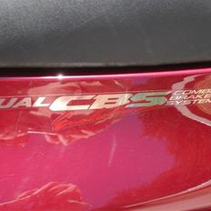 Honda cbr 1100 xx blackbird