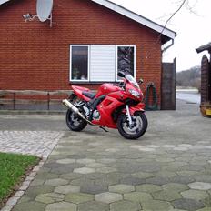 Suzuki SV650S K5 - (SOLGT)