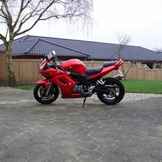 Suzuki SV650S K5 - (SOLGT)