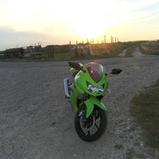 Kawasaki Kawasaki Ninja 250R SOLGT