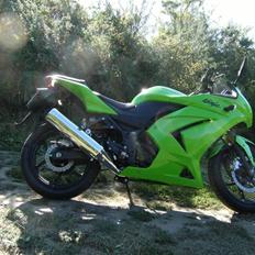 Kawasaki Kawasaki Ninja 250R SOLGT