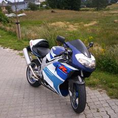 Suzuki TL 1000 R