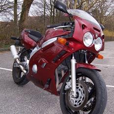 Yamaha FZR 600 RG (Total skadet)