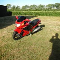 Honda cbr 1000 f