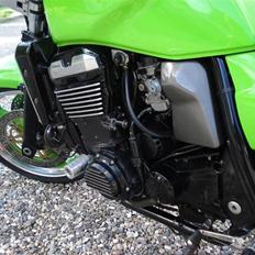 Kawasaki ZRX 1100 streetfighter