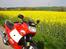 Honda VFR 750F *Solgt*