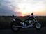 Harley Davidson Softtail