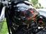 Harley Davidson knucklehead - sperminator