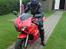 Suzuki SV 650 S (solgt)