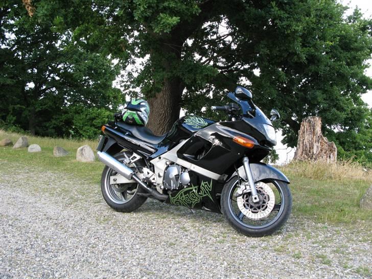 Kawasaki zzr 600 billede 1