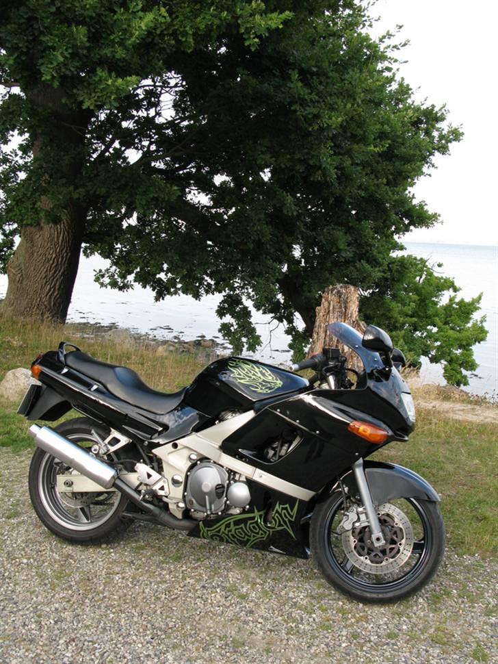 Kawasaki zzr 600 billede 9