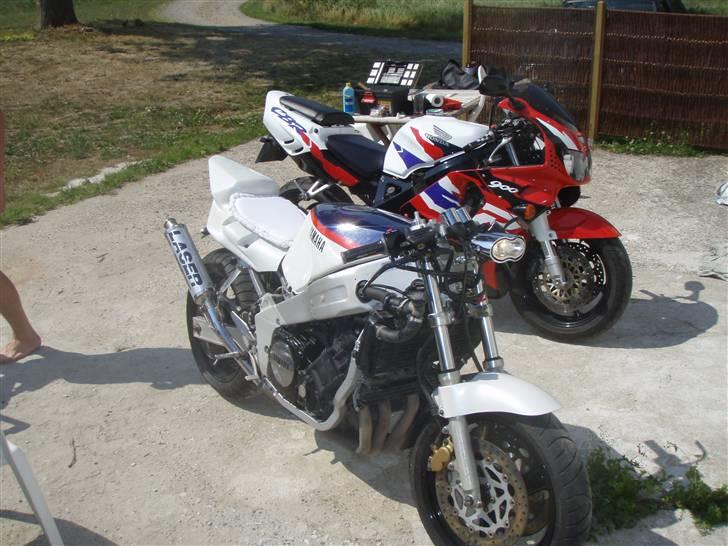 Honda fireblade billede 2