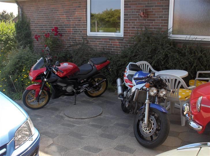 Honda CBR 400 NC29 Fireblade - Et billede af damerne :-) billede 15